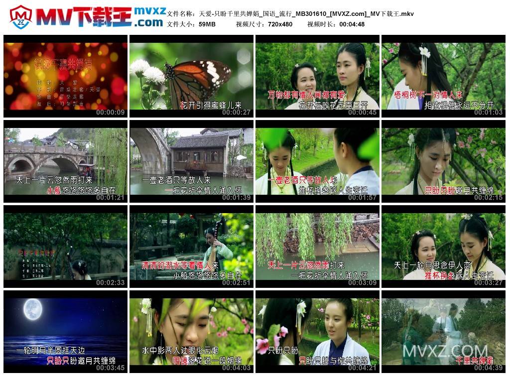 天爱-只盼千里共婵娟_国语_流行_MB301610